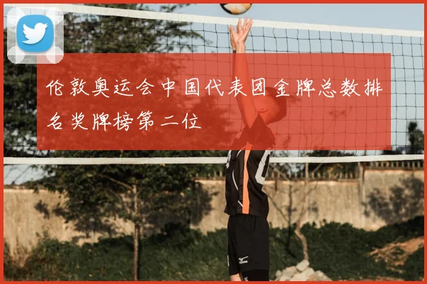 伦敦奥运会中国代表团金牌总数排名奖牌榜第二位