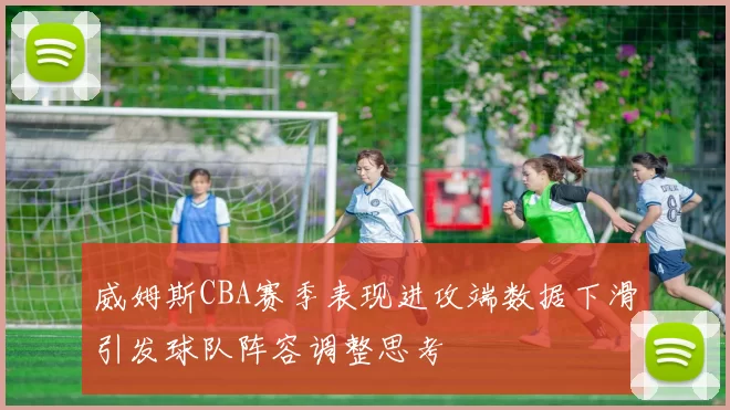 威姆斯CBA赛季表现进攻端数据下滑引发球队阵容调整思考