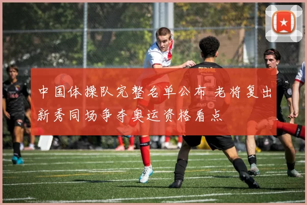 中国体操队完整名单公布 老将复出新秀同场争夺奥运资格看点