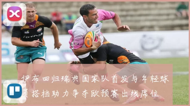 伊布回归瑞典国家队首发与年轻球员搭档助力争夺欧预赛出线席位